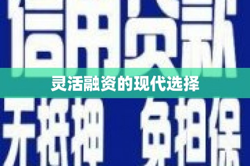 浔阳灵活融资的现代选择