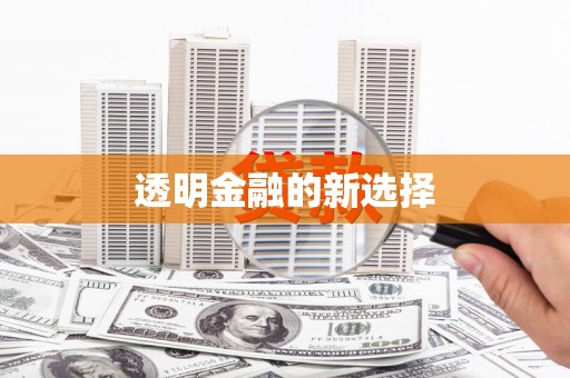 浔阳透明金融的新选择