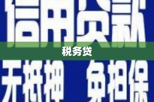 浔阳税务贷
