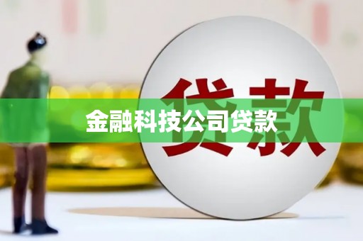 浔阳金融科技公司贷款