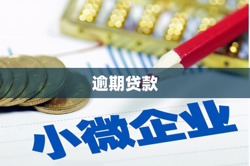 浔阳逾期贷款