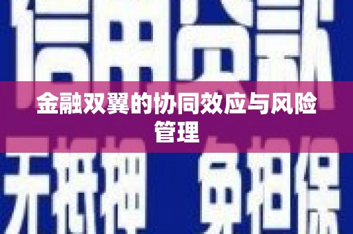 浔阳金融双翼的协同效应与风险管理