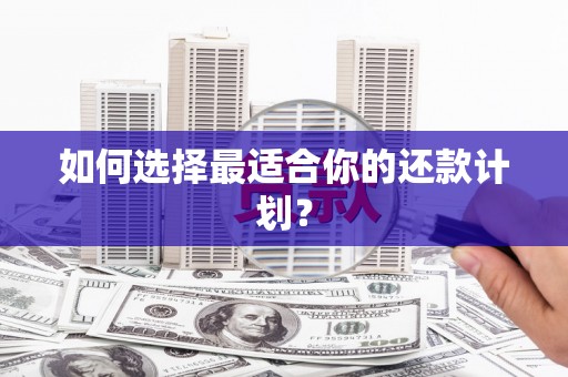 浔阳如何选择最适合你的还款计划？
