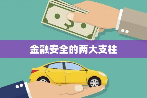 浔阳金融安全的两大支柱