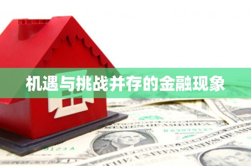 浔阳机遇与挑战并存的金融现象