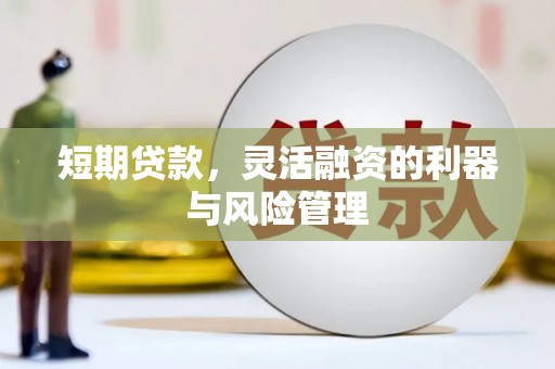 浔阳短期贷款，灵活融资的利器与风险管理