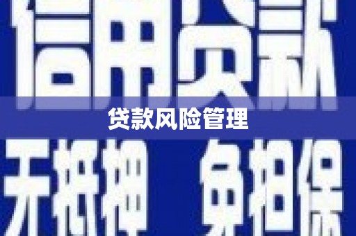 浔阳贷款风险管理