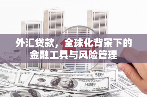 浔阳外汇贷款，全球化背景下的金融工具与风险管理