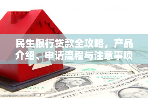浔阳民生银行贷款全攻略，产品介绍、申请流程与注意事项